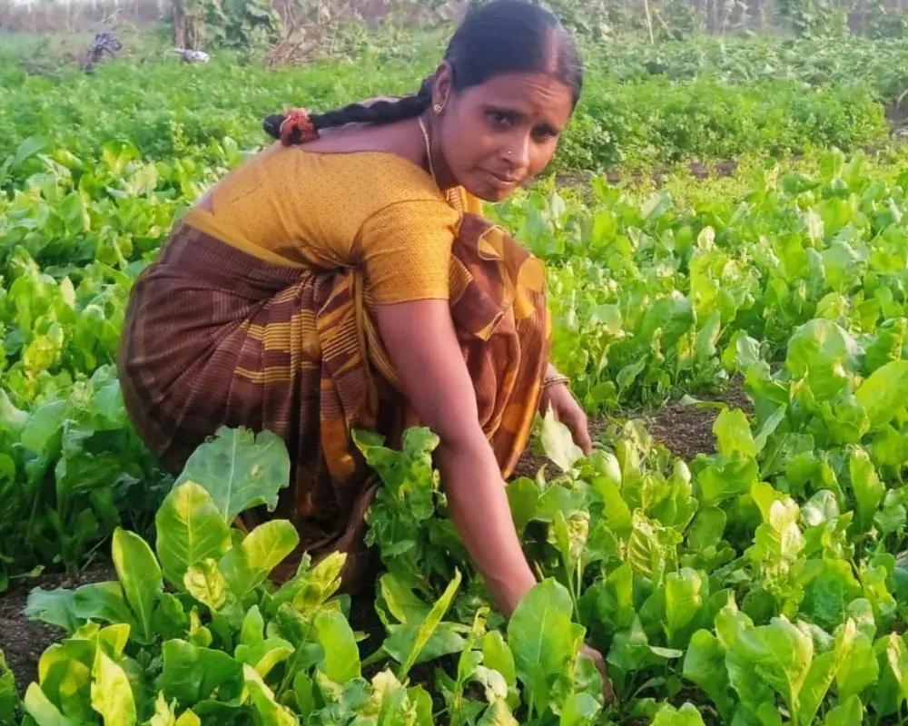 Ail Sujatha