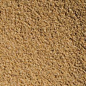 Barnyard Millet