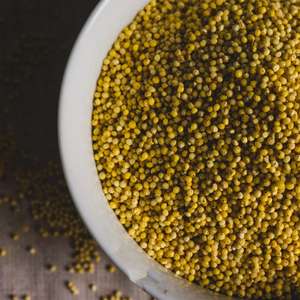 Browntop Millet