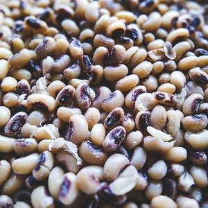 Cowpeas