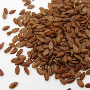 Flax Seeds