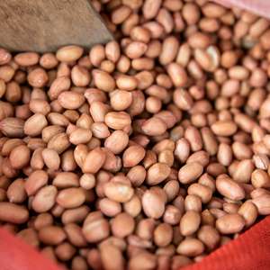Groundnut Oil